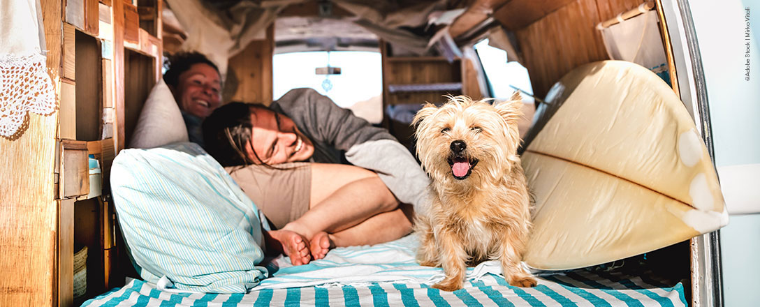 Zwei Menschen liegen mit Hund und Surfbrett in Fahrzeug