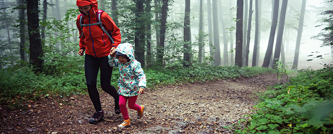Gewitter im Wald