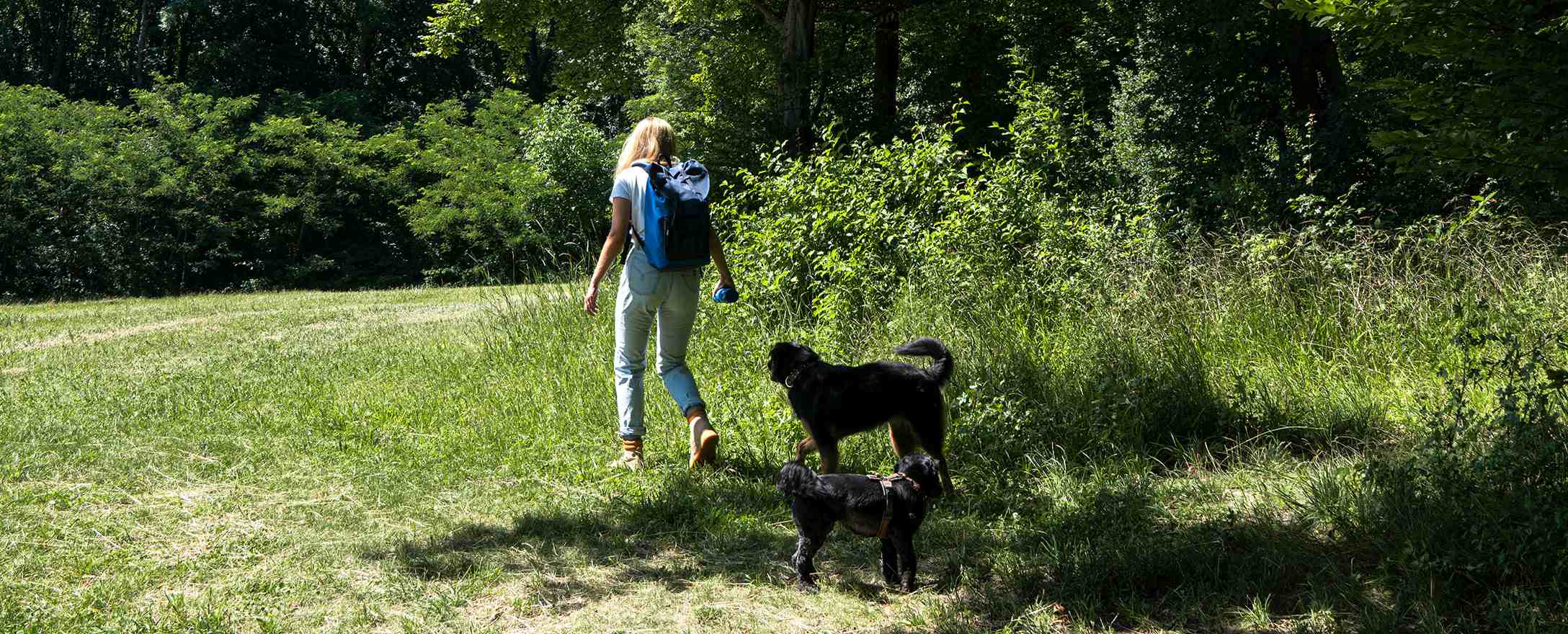 frau wandert durch wald