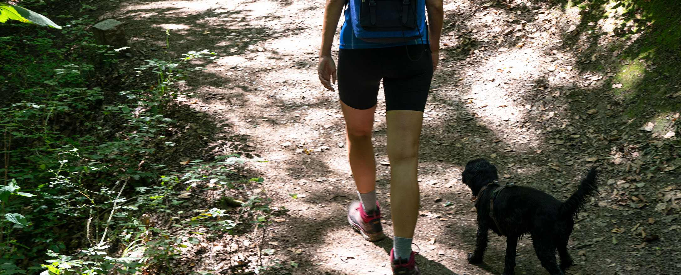 Frau wandert durch Wald