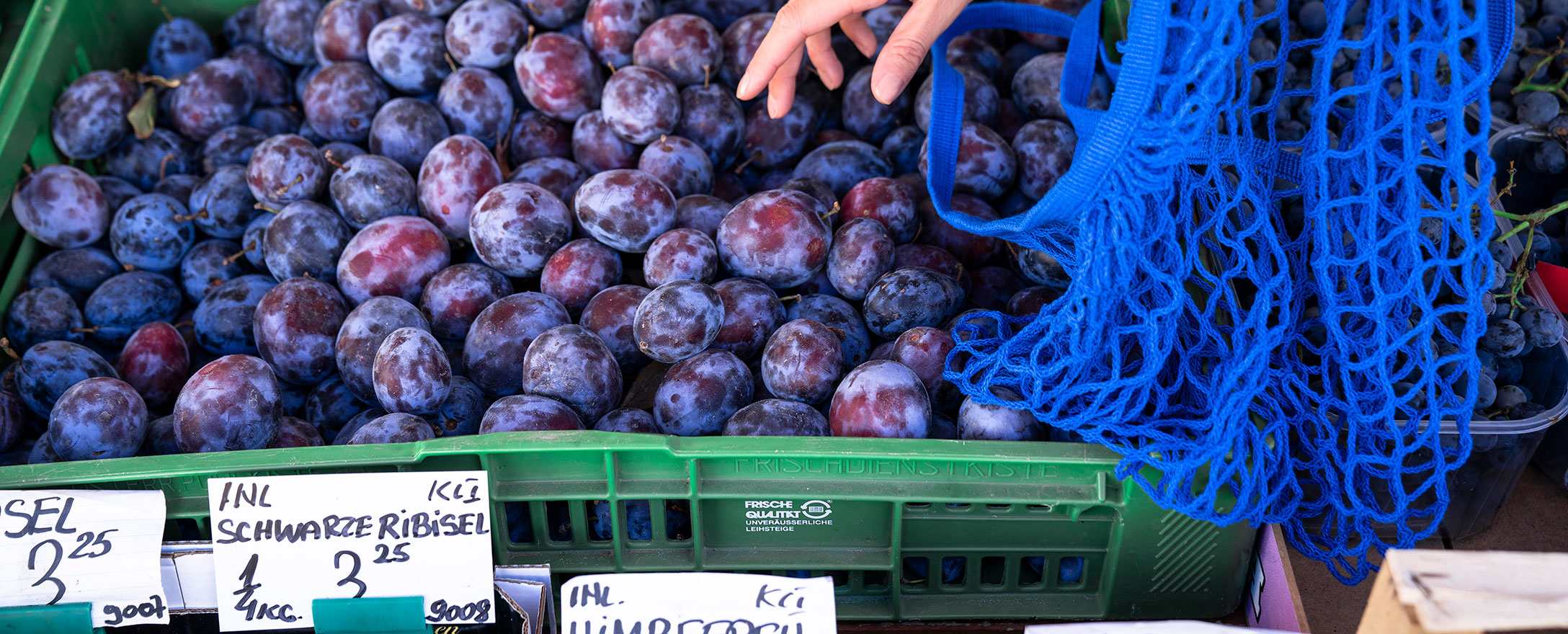frau bei der ernte mit frischem gemüse