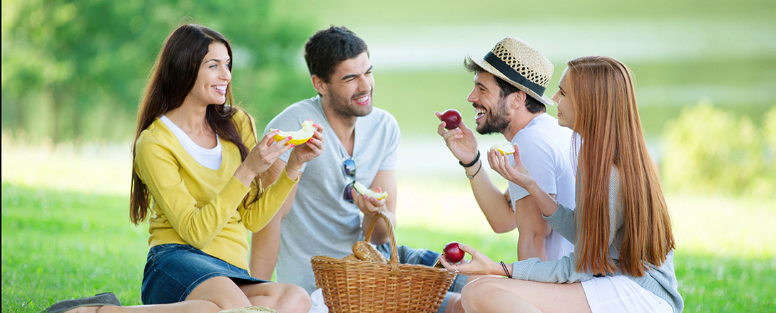 Vier junge Menschen beim Picknick im Grünen