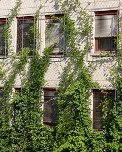begrünte fassade uniqa landesdirektion steiermark