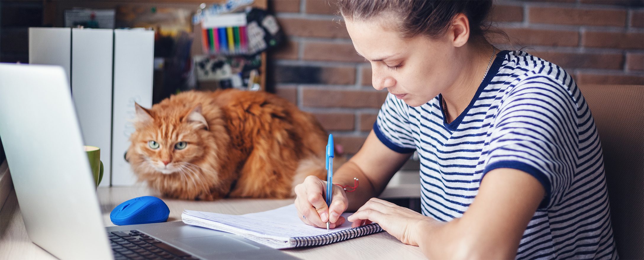 frau arbeitet im home office mit katze